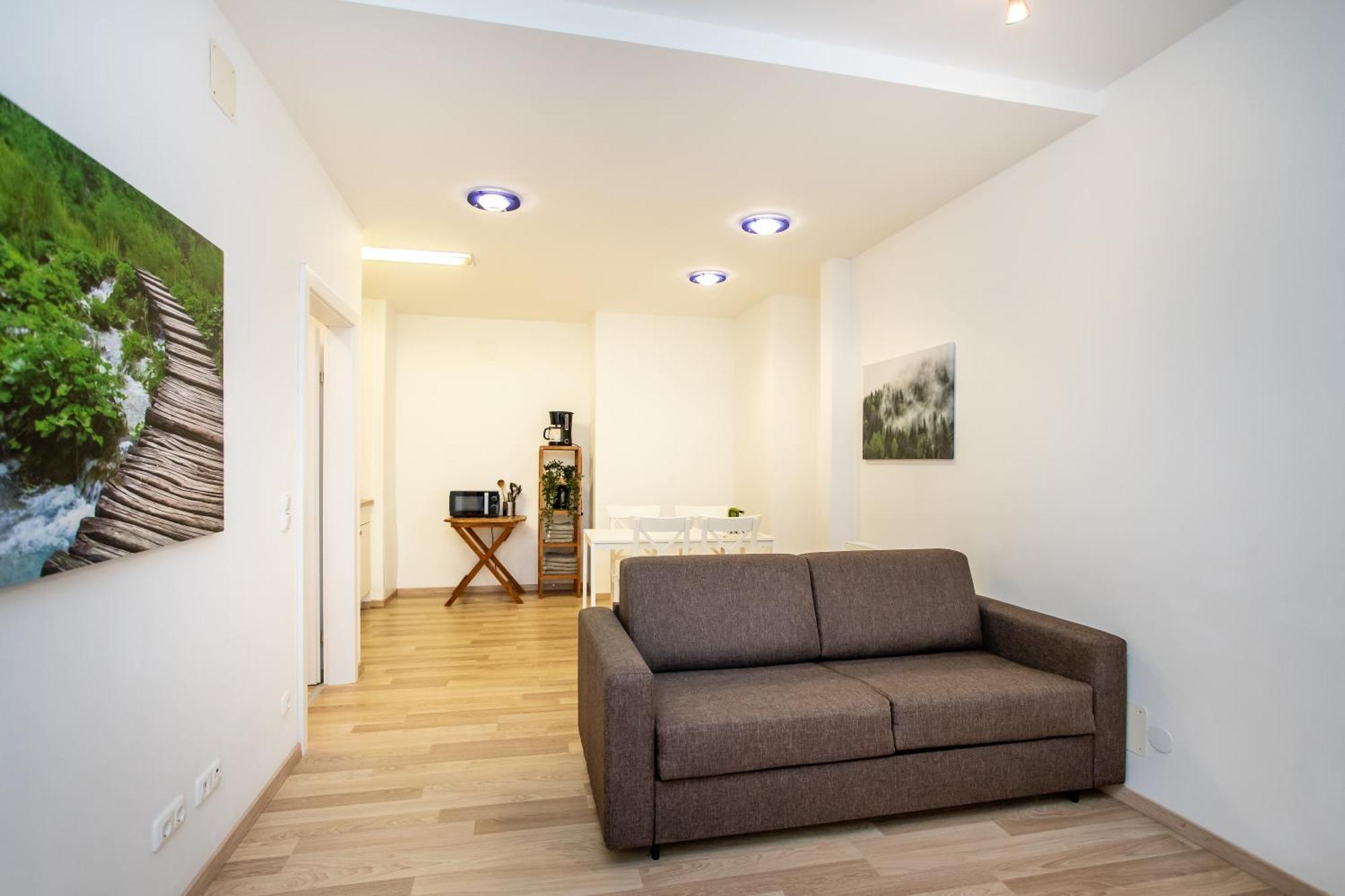 Citycenter Bad Ischl - Studio Apartments Traunkai Chambre photo
